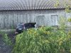 Samochód osobowy wbił się w stodołę w miejscowości Wężewo.